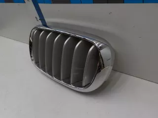 51137316053 Решетка радиатора BMW X6 F16 Арт BIT620332, вид 2