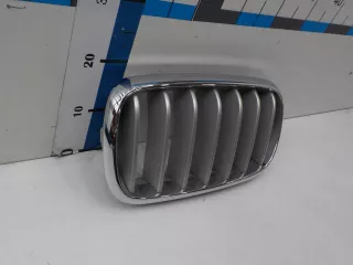 51137316053 Решетка радиатора BMW X6 F16 Арт BIT620332, вид 3