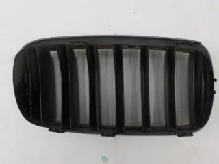 51137316053 Решетка радиатора BMW X6 F16 Арт BIT604201, вид 9