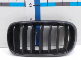 51137294485  Решетка радиатора BMW X5 F15 Арт BIT603366, вид 1