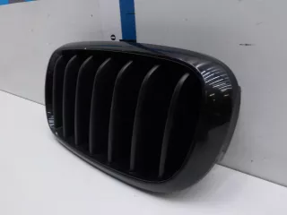 51137294485  Решетка радиатора BMW X5 F15 Арт BIT603366, вид 3