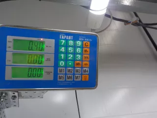 12799879 Петля капота Saab 9-3 2 Арт BIT601912, вид 2