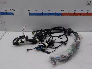 403882422R Проводка моторного отсека Renault Scenic 2 Арт BIT445357, вид 1