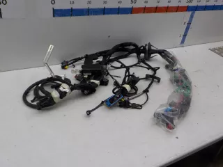403882422R Проводка моторного отсека Renault Scenic 2 Арт BIT445357, вид 3