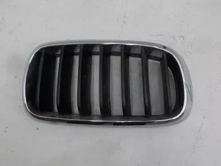 7316076 Решетка бампера переднего BMW X5 F15 Арт BIT423881, вид 1