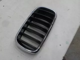 7316076 Решетка бампера переднего BMW X5 F15 Арт BIT423881, вид 2