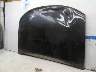 651000987R  Капот Renault Duster 1 Арт BIT340642, вид 2