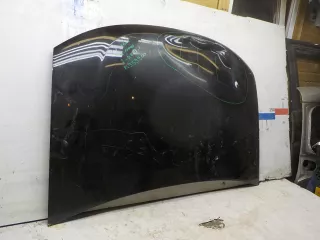 651000987R  Капот Renault Duster 1 Арт BIT340642, вид 3