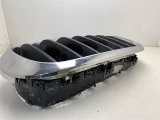 51712334710, 7316076 решетка радиатора BMW X5 F15 Арт SP7800, вид 4