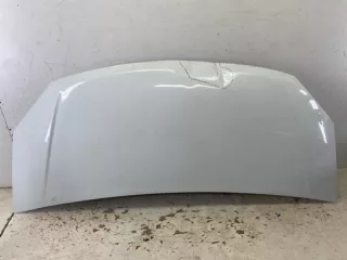 A21R238402012 капот ГАЗ Газель next Арт VZ171219, вид 1