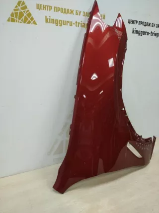 41007491382 Крыло красное BMW X3 G01 Арт TP22403, вид 2