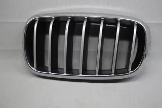 51137316054 Решетка радиатора BMW X5 F15 Арт BBBs220826104, вид 1
