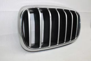51137316054 Решетка радиатора BMW X5 F15 Арт BBBs220826104, вид 4