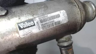 1628RJ,9640843480 Охладитель отработанных газов Peugeot Expert 1  Арт 7571173, вид 3