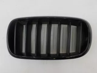 51137316053 Решетка радиатора BMW X6 F16 Арт 604201, вид 1