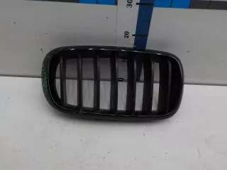 7316076 Решетка радиатора BMW X6 F16 Арт 535531, вид 1
