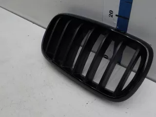 7316076 Решетка радиатора BMW X6 F16 Арт 535531, вид 2