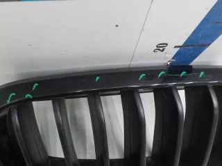 7316076 Решетка радиатора BMW X6 F16 Арт 535531, вид 6