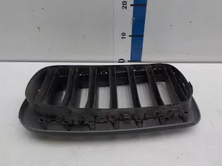7316076 Решетка радиатора BMW X6 F16 Арт 535531, вид 9