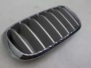 7316076 Решетка радиатора BMW X5 F15 Арт 493335, вид 2