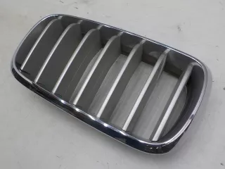 7316076 Решетка радиатора BMW X5 F15 Арт 493335, вид 3