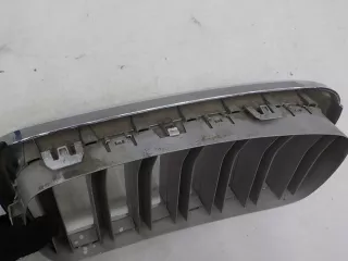 7316076 Решетка радиатора BMW X5 F15 Арт 493335, вид 6
