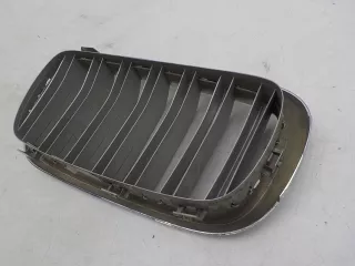 7316076 Решетка радиатора BMW X5 F15 Арт 493335, вид 7