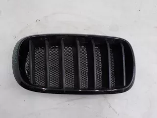 7316076 Решетка радиатора BMW X5 F15 Арт 393196, вид 1