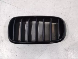 51117303108 Решетка радиатора BMW X5 F15 Арт VZ170981, вид 1