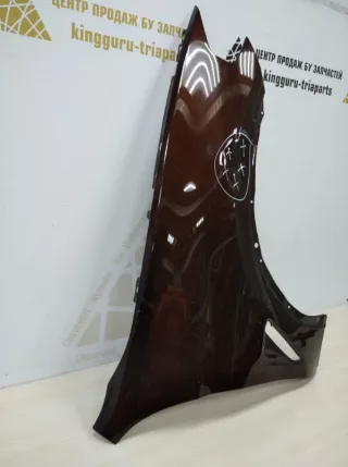 41007491382 Крыло коричневое BMW X3 G01 Арт TP24351, вид 2