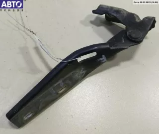 1M0823302B, 1M0823302B Петля капота правая Seat Leon 1 Арт 52725790, вид 1