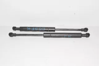8402551 , art570970 Амортизатор капота BMW X5 E53 Арт 570970, вид 1