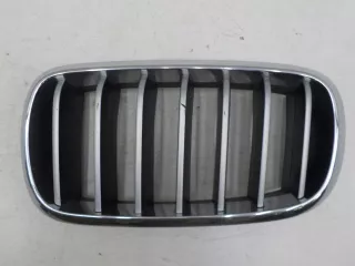 51137294486  Решетка радиатора BMW X5 F15 Арт BIT638284, вид 1