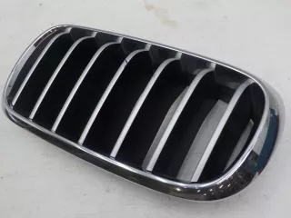 51137294486  Решетка радиатора BMW X5 F15 Арт BIT638284, вид 3