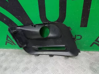 1613564880, 9810965977 окантовка птф Citroen Berlingo 2  Арт ARM256442, вид 6