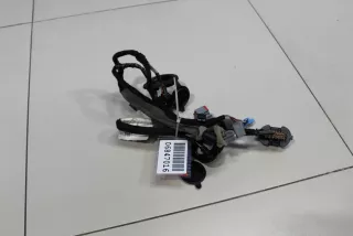 31318716 Жгут проводов задней левой двери Volvo XC60 1 Арт Z151741, вид 1