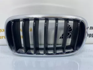 7316075 Решетка радиатора BMW X5 F15 Арт TP32898, вид 1