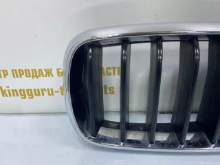 7316075 Решетка радиатора BMW X5 F15 Арт TP32898, вид 3