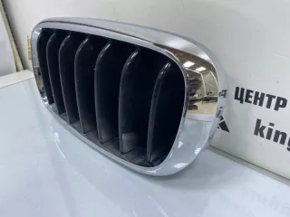 7316075 Решетка радиатора BMW X5 F15 Арт TP32898, вид 4