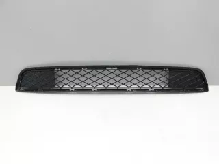  Решетка в бампер центральная BMW X3 F25 Арт SM10070323, вид 1