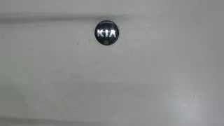 529603w200 Колпачок литого диска Kia Optima 3 Арт 7759297, вид 1