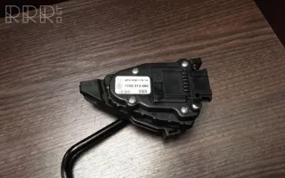 7700313060 , artRAJ6219 Педаль газа Nissan Primastar Арт RAJ6219, вид 7