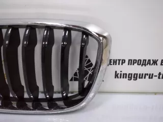 51137397466 Решетка радиатора BMW X3 G01 Арт TP34248, вид 2