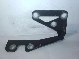 13213447 Петля капота Opel Astra H Арт 14371, вид 1