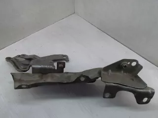  петля капота перед лев Renault Scenic 2 Арт 19000227, вид 1