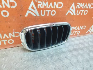 51137294486, 7316054 решетка радиатора BMW X5 F15 Арт 220707PM, вид 2