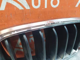 51137294486, 7316054 решетка радиатора BMW X5 F15 Арт 220707PM, вид 4