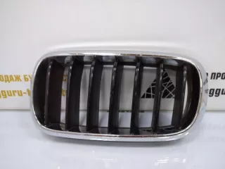 7316075 Решетка радиатора BMW X5 F15 Арт TP37354, вид 1
