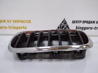 7316075 Решетка радиатора BMW X5 F15 Арт TP37354, вид 4