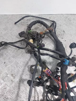 8D1971072TA Проводка двигателя Audi A6 C5 (S6,RS6) Арт 46023044774, вид 4